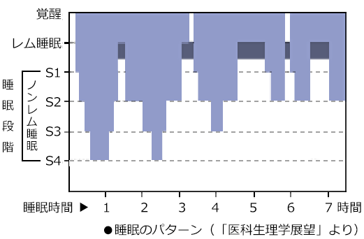 レム睡眠とノンレム睡眠