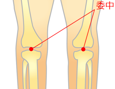 腰と膝の痛みに効くツボ 健康アドバイス どうき 息切れ 気つけに 救心製薬株式会社