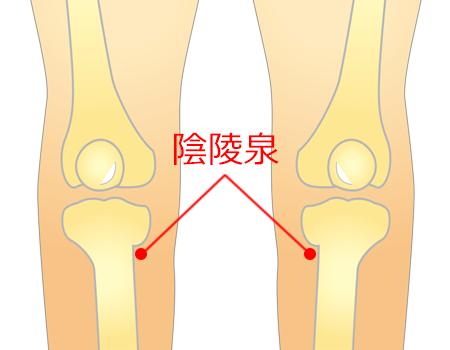 陰陵泉（いんりょうせん）