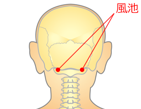 めまいのツボ＜風池＞ │ 健康アドバイス │ どうき・息切れ・気つけに - 救心製薬株式会社