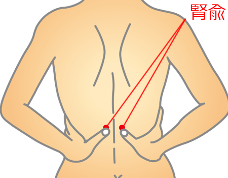 ぎっくり腰のツボ＜腎兪＞ │ 健康アドバイス │ どうき・息切れ・気つけに - 救心製薬株式会社