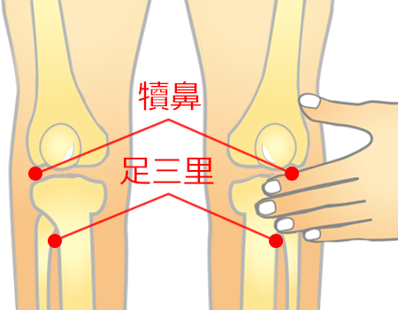 足三里（あしさんり）