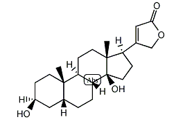 生薬のはなし