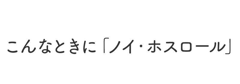 こんなときに「ノイ・ホスロール」